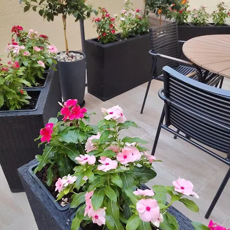 Lamita Apartman