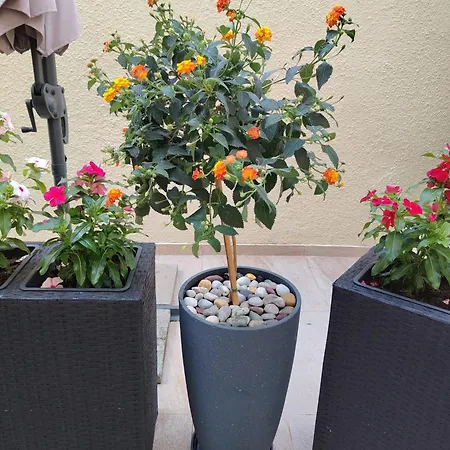 Apartman Lamita *